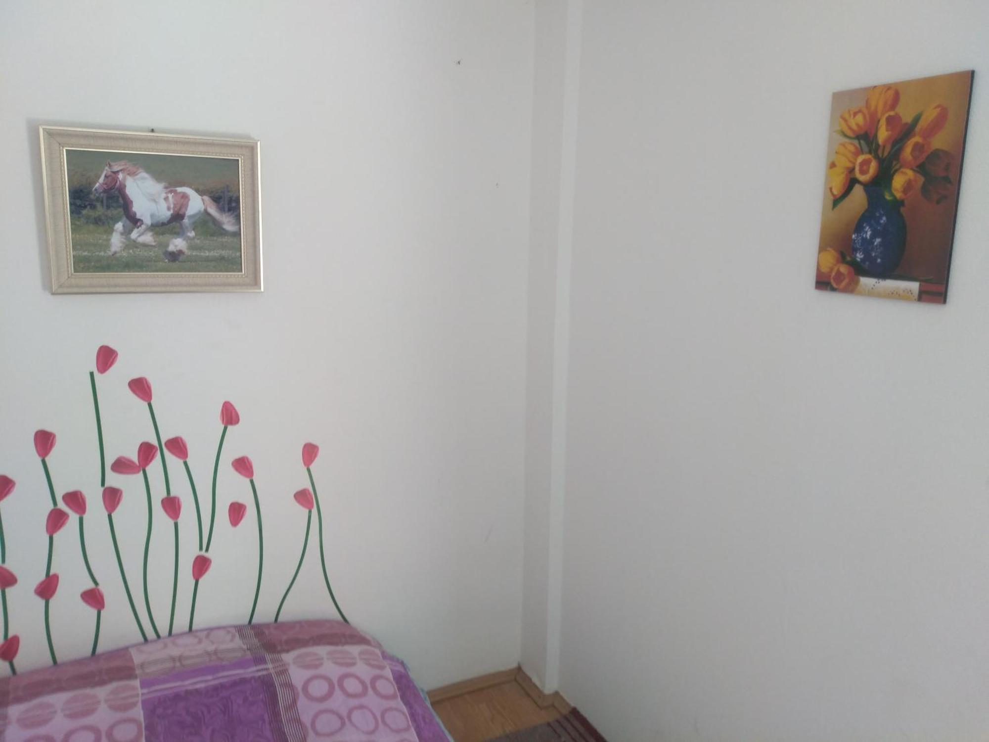 Hostel Trajan Доньи-Милановац Экстерьер фото